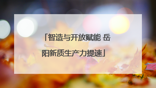 智造与开放赋能 岳阳新质生产力提速