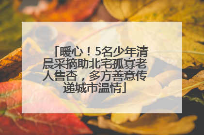 暖心！5名少年清晨采摘助北宅孤寡老人售杏，多方善意传递城市温情