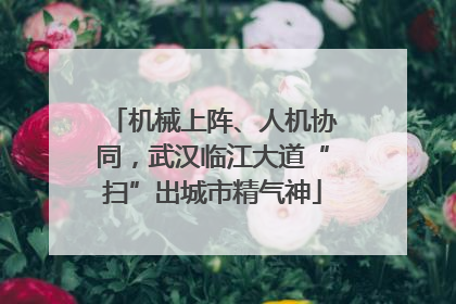机械上阵、人机协同，武汉临江大道“扫”出城市精气神