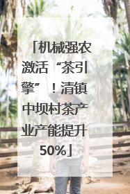 机械强农激活“茶引擎”！清镇中坝村茶产业产能提升50%