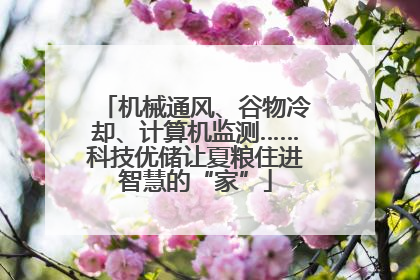 机械通风、谷物冷却、计算机监测……科技优储让夏粮住进智慧的“家”