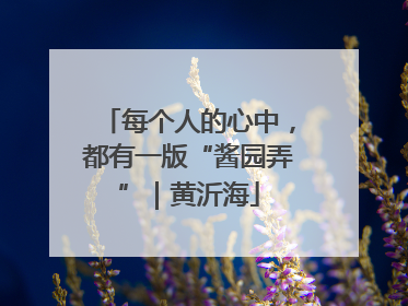 每个人的心中，都有一版“酱园弄”｜黄沂海