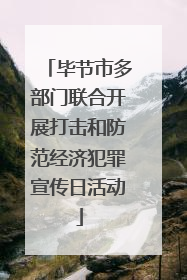 毕节市多部门联合开展打击和防范经济犯罪宣传日活动