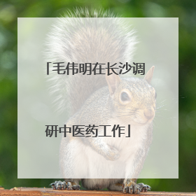 毛伟明在长沙调研中医药工作