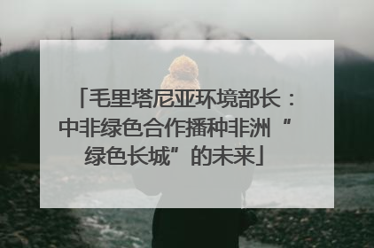 毛里塔尼亚环境部长：中非绿色合作播种非洲“绿色长城”的未来