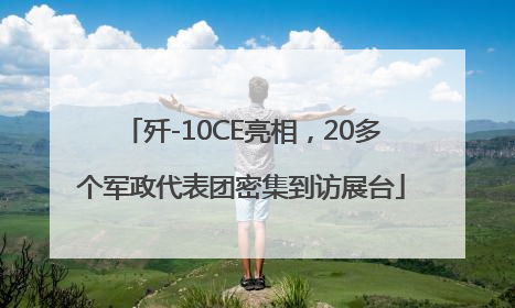 歼-10CE亮相，20多个军政代表团密集到访展台