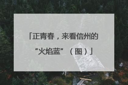 正青春，来看信州的“火焰蓝”（图）
