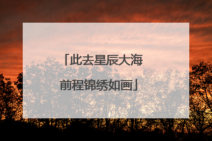 此去星辰大海 前程锦绣如画