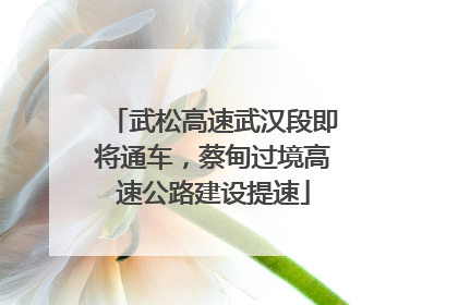 武松高速武汉段即将通车，蔡甸过境高速公路建设提速
