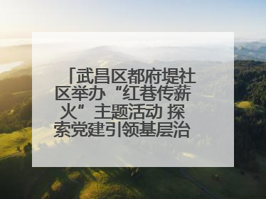 武昌区都府堤社区举办“红巷传薪火”主题活动 探索党建引领基层治理新路径