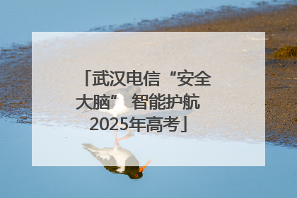 武汉电信“安全大脑” 智能护航2025年高考