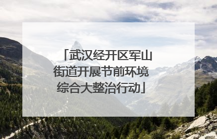 武汉经开区军山街道开展节前环境综合大整治行动