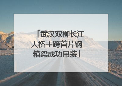 武汉双柳长江大桥主跨首片钢箱梁成功吊装