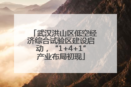 武汉洪山区低空经济综合试验区建设启动，“1+4+1”产业布局初现