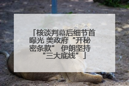 核谈判幕后细节首曝光 美政府“开秘密条款” 伊朗坚持“三大底线”