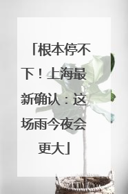 根本停不下！上海最新确认：这场雨今夜会更大