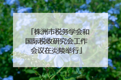 株洲市税务学会和国际税收研究会工作会议在炎陵举行