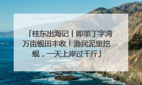 桂东出海记丨即墨丁字湾万亩蚬田丰收！渔民泥里挖蚬，一天上岸过千斤