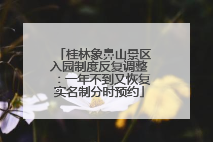 桂林象鼻山景区入园制度反复调整：一年不到又恢复实名制分时预约