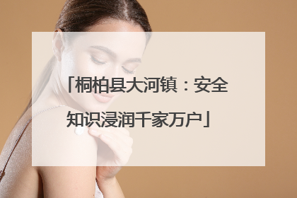 桐柏县大河镇：安全知识浸润千家万户