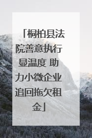 桐柏县法院善意执行显温度 助力小微企业追回拖欠租金