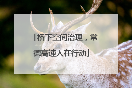 桥下空间治理，常德高速人在行动