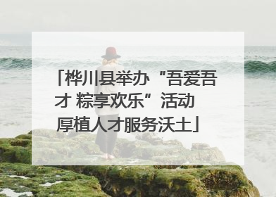 桦川县举办“吾爱吾才 粽享欢乐”活动 厚植人才服务沃土