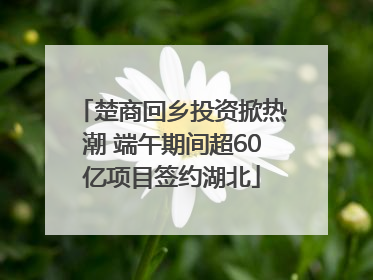 楚商回乡投资掀热潮 端午期间超60亿项目签约湖北