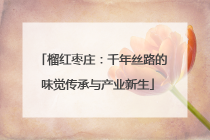 榴红枣庄：千年丝路的味觉传承与产业新生