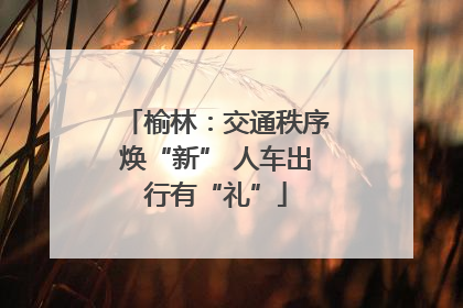 榆林：交通秩序焕“新” 人车出行有“礼”