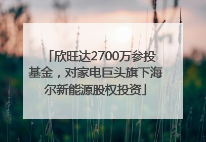 欣旺达2700万参投基金，对家电巨头旗下海尔新能源股权投资