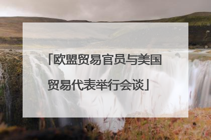 欧盟贸易官员与美国贸易代表举行会谈