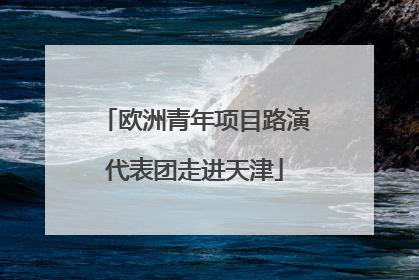 欧洲青年项目路演代表团走进天津