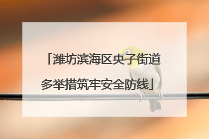 潍坊滨海区央子街道多举措筑牢安全防线