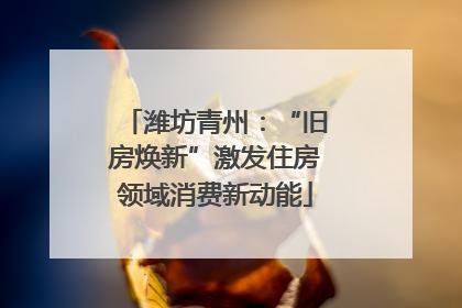 潍坊青州：“旧房焕新”激发住房领域消费新动能