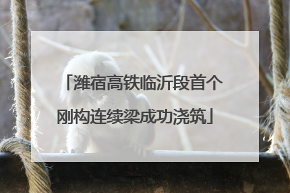 潍宿高铁临沂段首个刚构连续梁成功浇筑