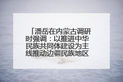 潘岳在内蒙古调研时强调：以推进中华民族共同体建设为主线推动边疆民族地区高质量发展