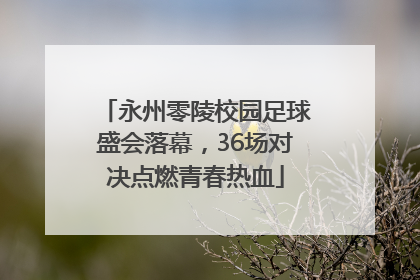 永州零陵校园足球盛会落幕，36场对决点燃青春热血