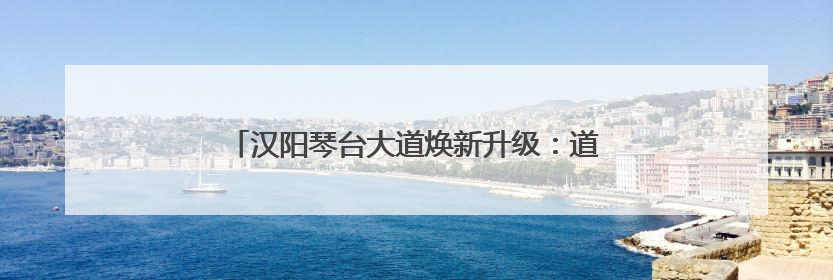 汉阳琴台大道焕新升级：道路扩容畅行，架空管线入廊