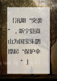 汛期“突袭”，新宁县崀山为国宝朱鹮撑起“保护伞”