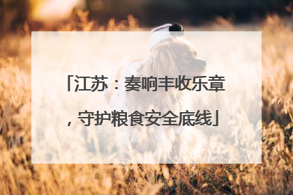 江苏：奏响丰收乐章，守护粮食安全底线