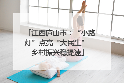 江西庐山市：“小路灯”点亮“大民生” 乡村振兴稳提速