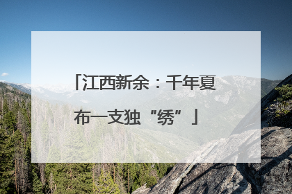 江西新余：千年夏布一支独“绣”