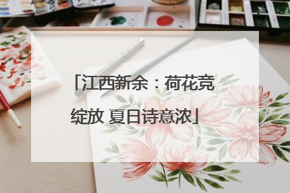 江西新余：荷花竞绽放 夏日诗意浓