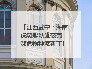 江西武宁：海南虎斑鳽幼雏破壳 濒危物种添新丁
