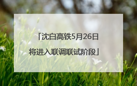 沈白高铁5月26日将进入联调联试阶段