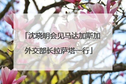 沈晓明会见马达加斯加外交部长拉萨塔一行