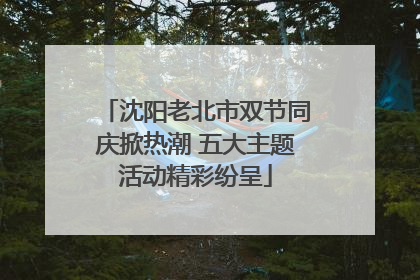 沈阳老北市双节同庆掀热潮 五大主题活动精彩纷呈