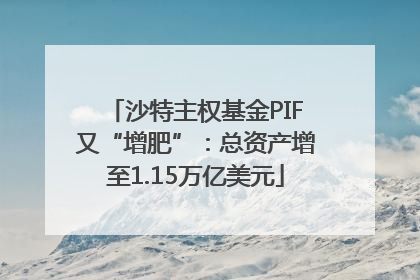 沙特主权基金PIF又“增肥”：总资产增至1.15万亿美元