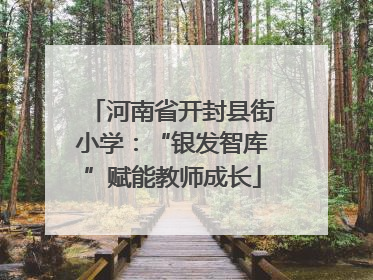 河南省开封县街小学：“银发智库”赋能教师成长